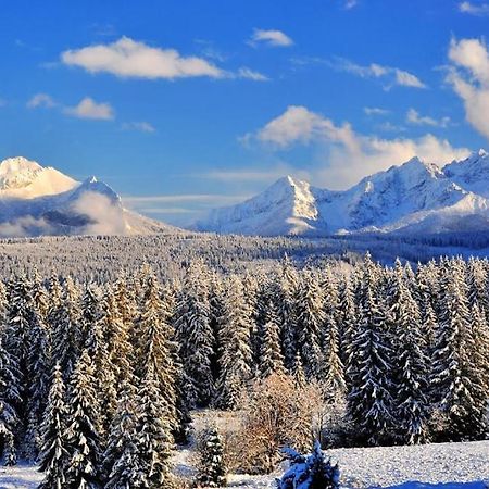 Mini-Apartment Z Pieknym Widokiem Na Tatry ムジャシフレ エクステリア 写真