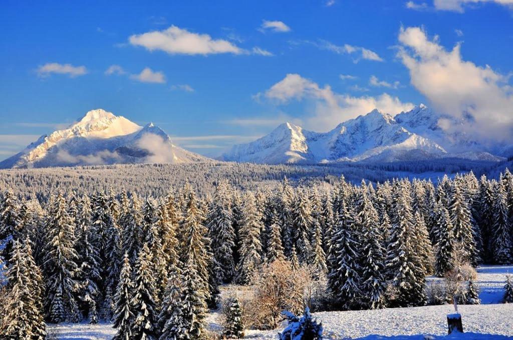 Mini-Apartment Z Pieknym Widokiem Na Tatry ムジャシフレ エクステリア 写真