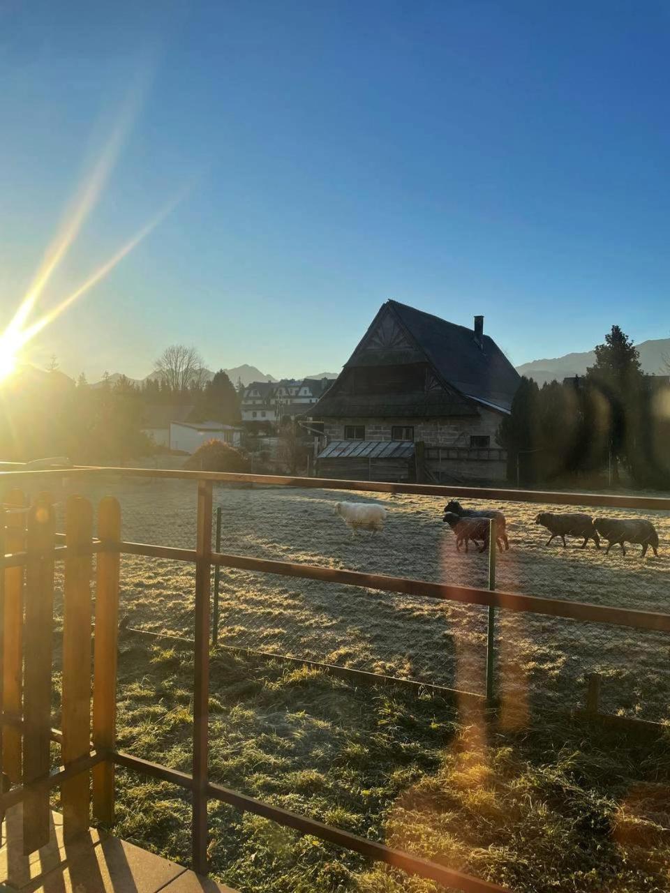 Mini-Apartment Z Pieknym Widokiem Na Tatry ムジャシフレ エクステリア 写真